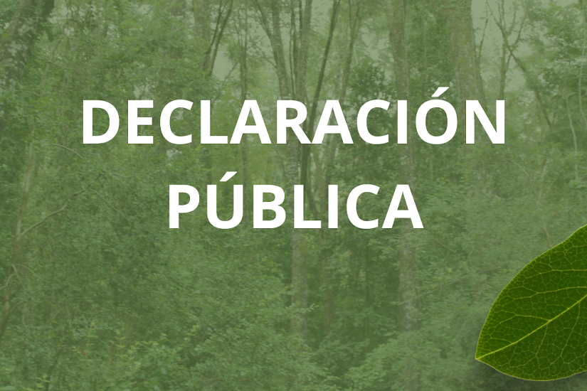 Declaración Pública